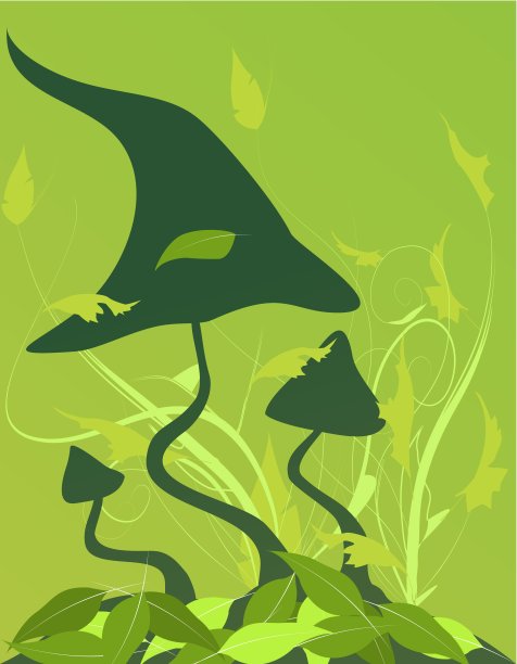 蘑菇的背景图片下载