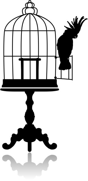 鸟笼图片下载