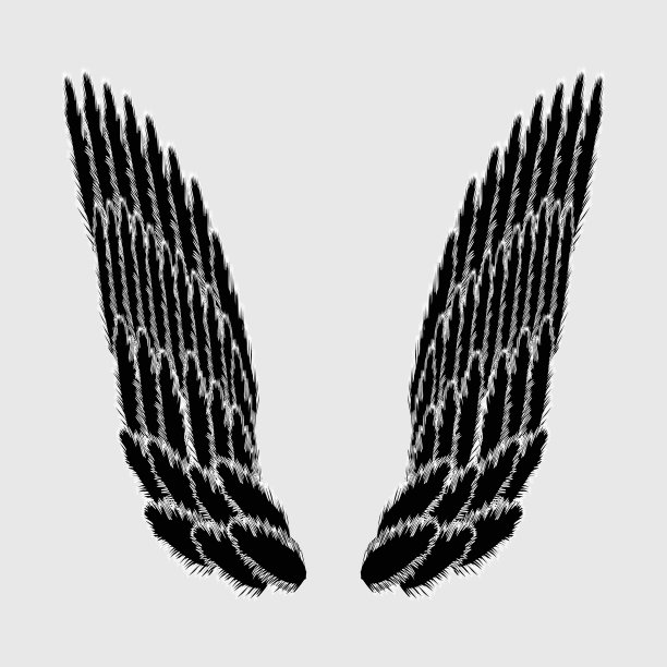 翅膀图片下载