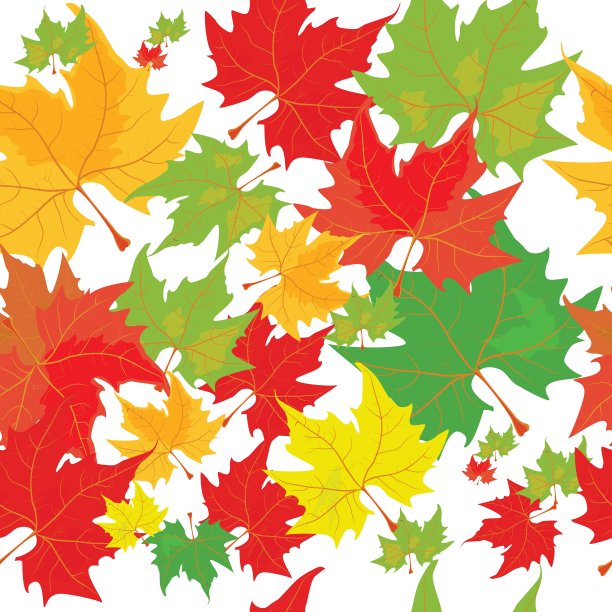 收集美丽多彩的秋叶图案图片下载