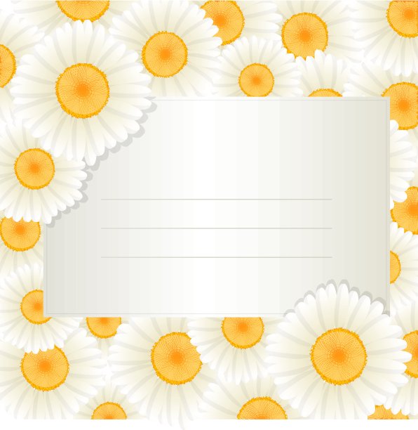 Oxeye雏菊文本卡图片下载