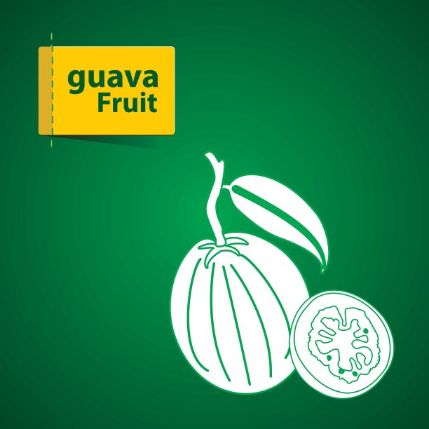 水果插图图片下载