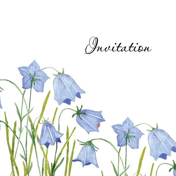 蓝铃花。问候或邀请矢量卡。手绘水彩画插图。图片下载