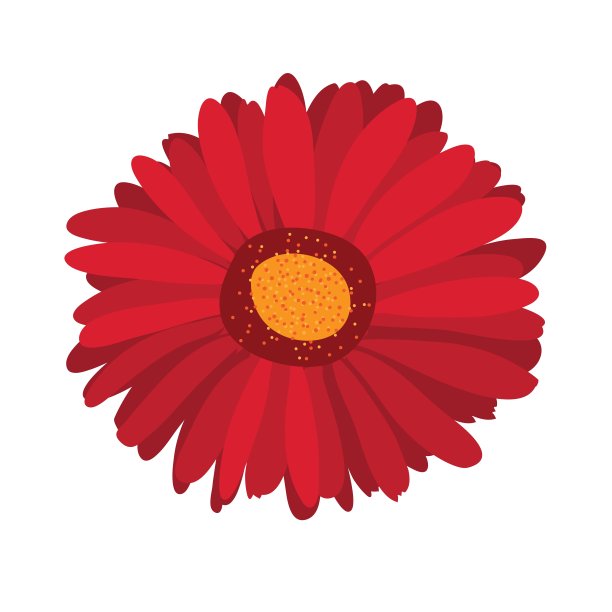 大的粉红色花非洲菊在背景上图片下载