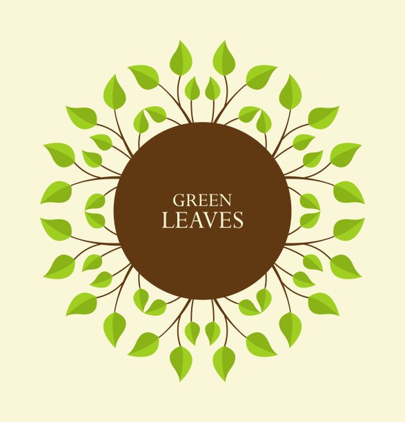 树枝和树叶图片下载