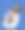 两个熊图片下载