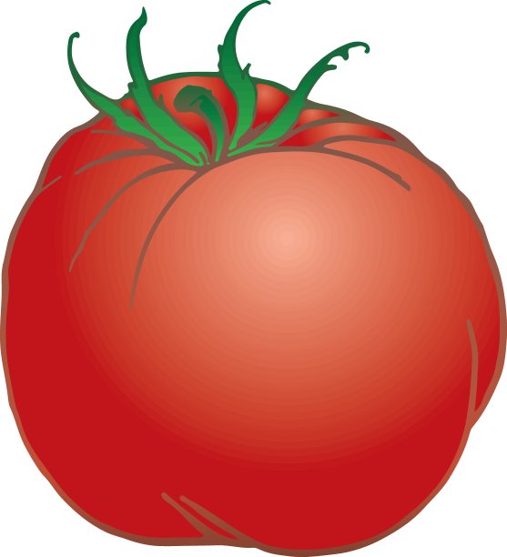 成熟的西红柿图片下载