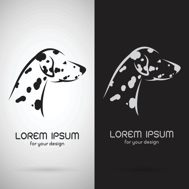 向量图像的斑点狗设计在白色的背景和图片下载