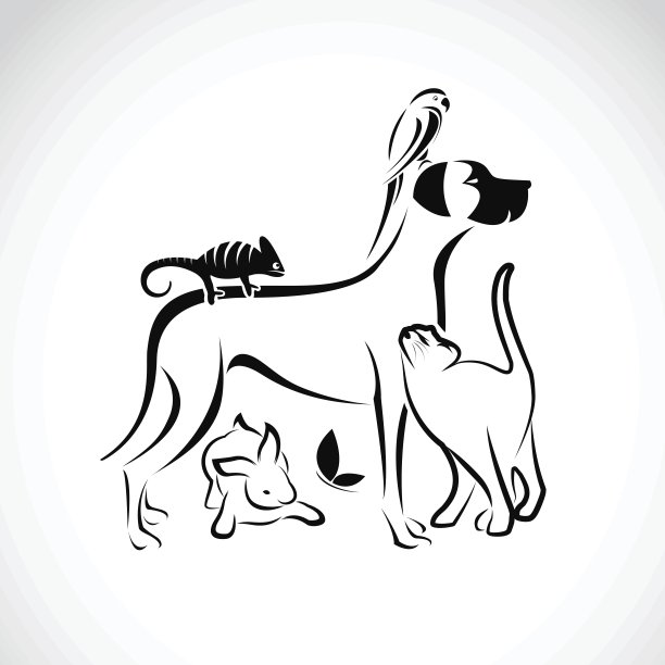 Vector群宠物-狗，猫，鹦鹉，变色龙，兔子，屁股图片下载