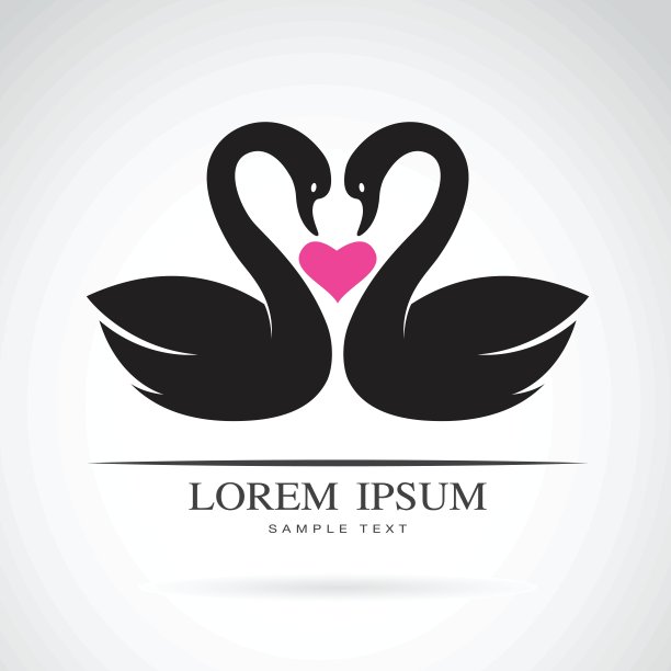 矢量图像的两个爱天鹅在白色的背景。图片下载