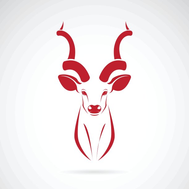 矢量图像的羚羊角在白色的背景图片下载