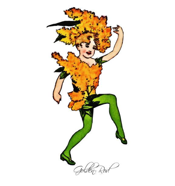 花的孩子一枝黄图片下载