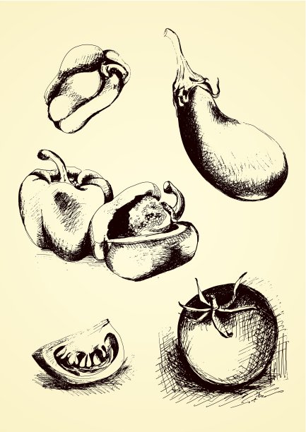 手绘蔬菜:辣椒，番茄，茄子图片下载