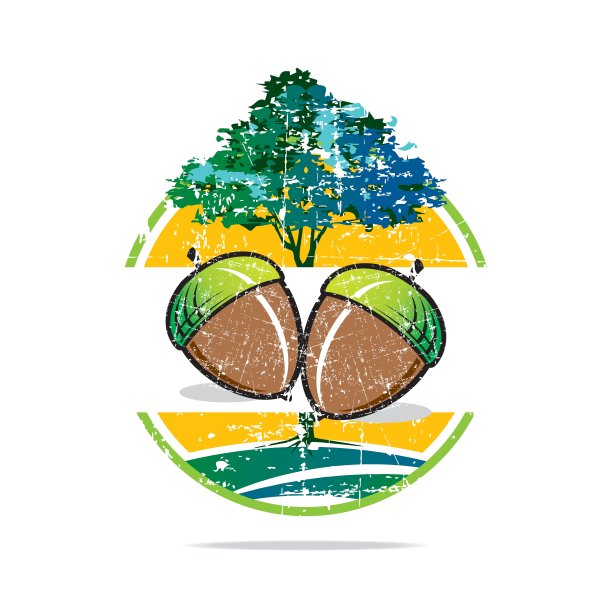 核桃树榛子新鲜美味图片下载