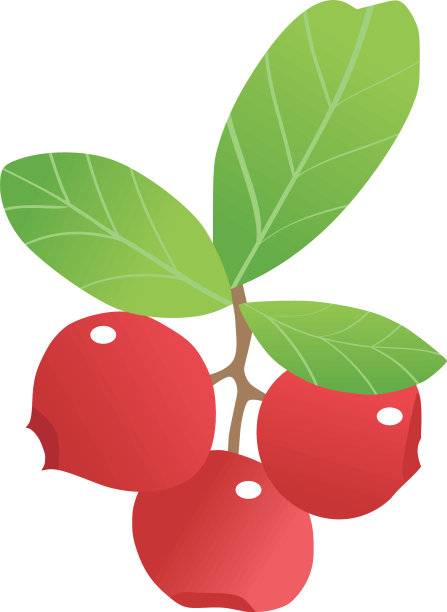 几颗蔓越莓图片下载