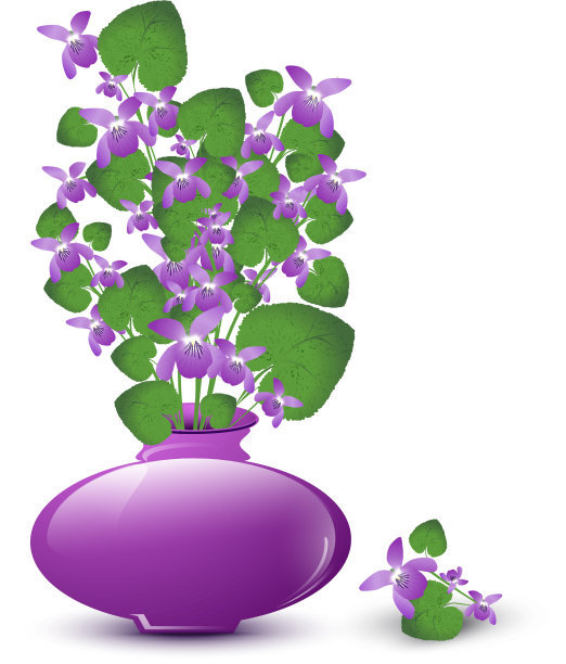 一束野紫罗兰图片下载