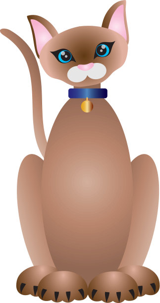 暹罗猫插图图片下载