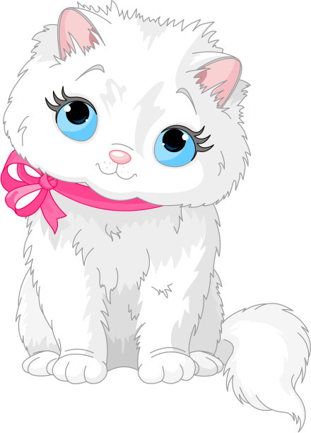 可爱的白猫图片下载