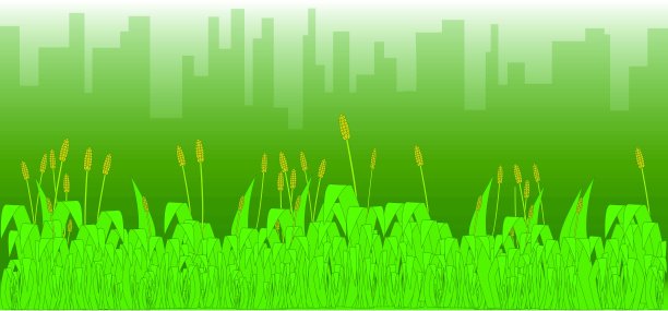 有雾的早晨图片下载