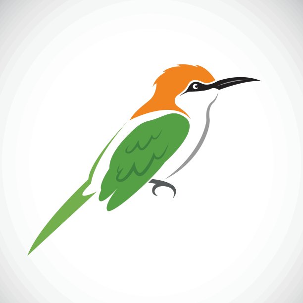 矢量的鸟在白色的背景。绿色的食蜂鸟图片下载