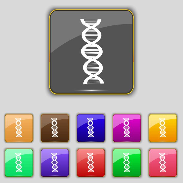DNA图标符号。为你的网站设置11个颜色的按钮。向量图片下载