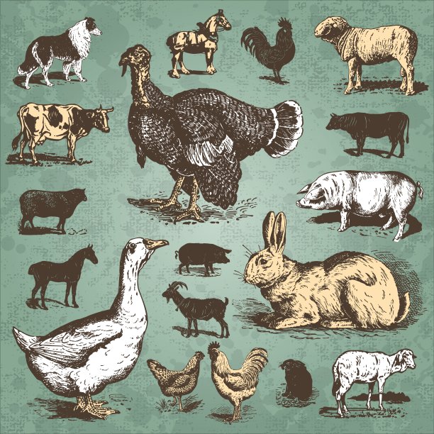 农场动物复古集(矢量)图片下载