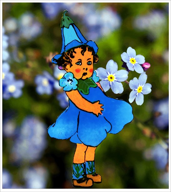 蓝眼亚麻图片下载