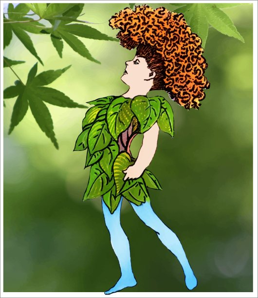 公鸡梳图片下载