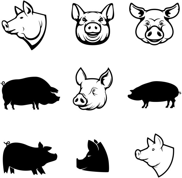 一套猪肉标签。猪的剪影和头。设计元素f图片下载