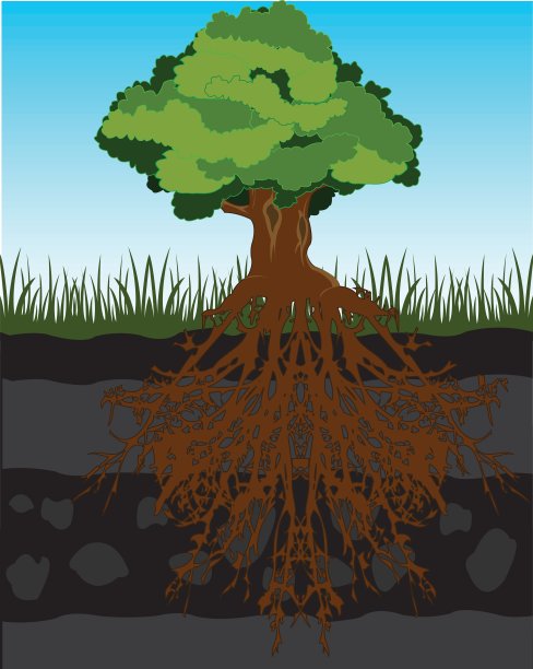 树在土里，根在土里图片下载