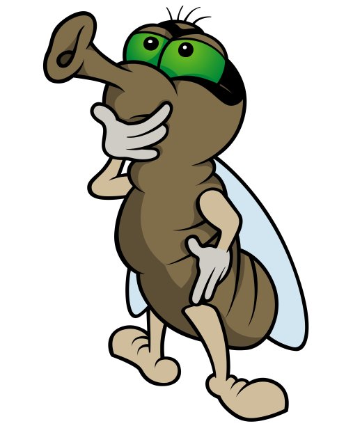 深思熟虑的飞图片下载