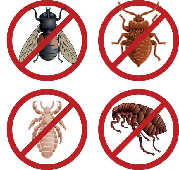 一组有害虫的禁用标志图片下载