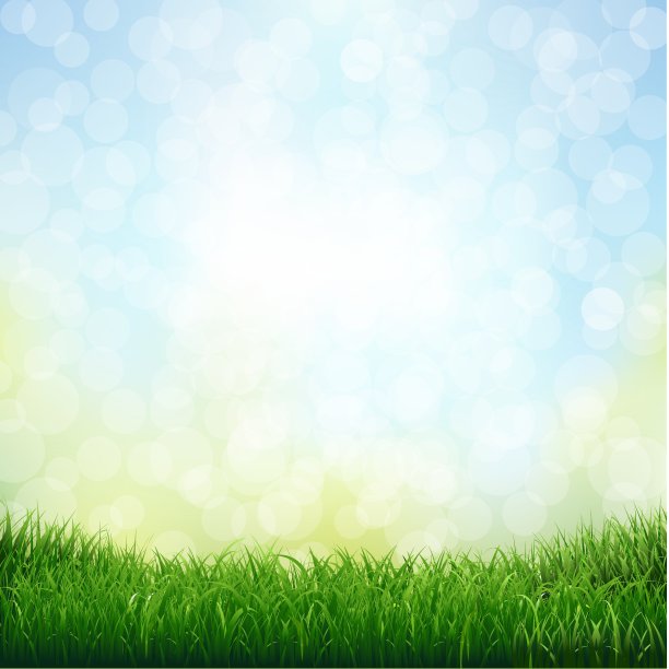 草与散景图片下载