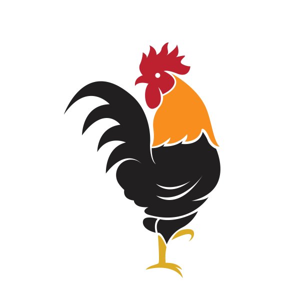 白色背景上的公鸡设计矢量，农场动物图片下载