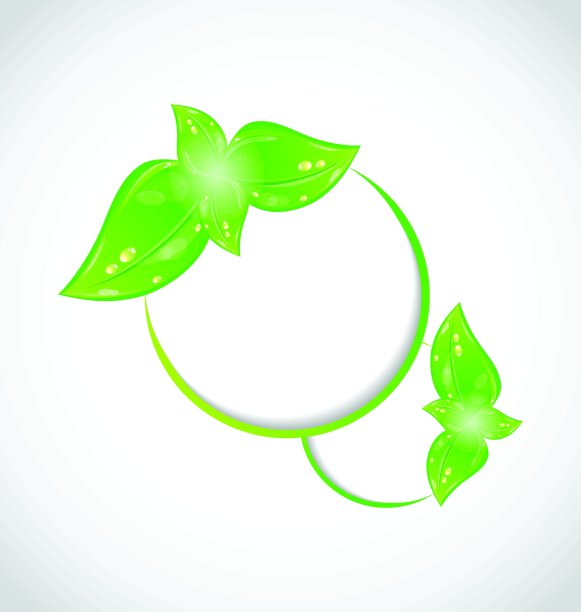 抽象框架与生态绿色树叶图片下载