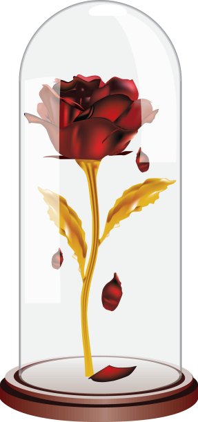 落花红玫瑰图片下载