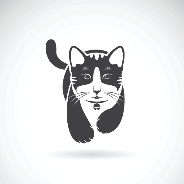 白色背景上的猫向量。宠物的动物。图片下载