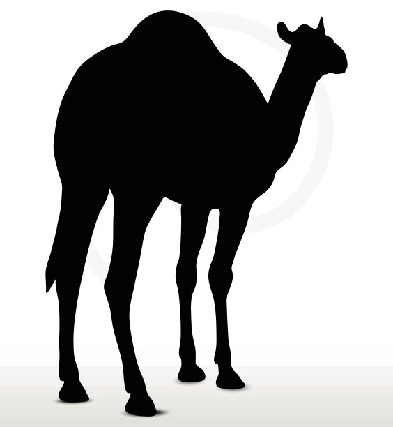 驼峰默认姿势图片下载