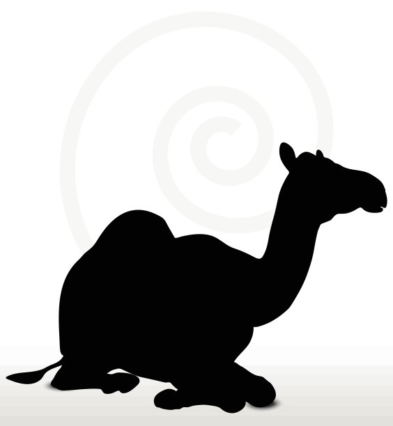 骆驼坐式图片下载