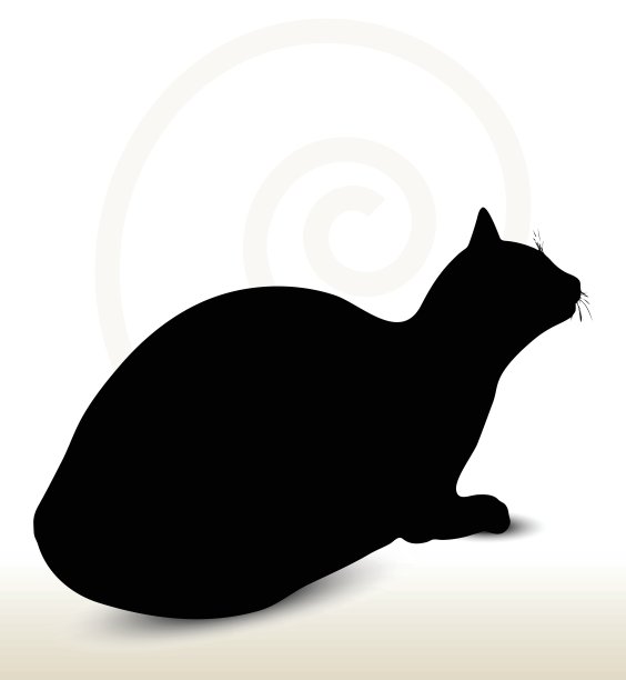 猫的轮廓图片下载