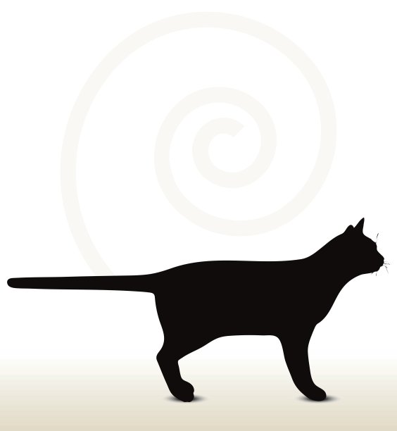 猫的轮廓图片下载