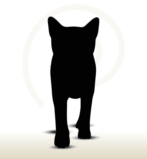 猫的剪影插图图片下载