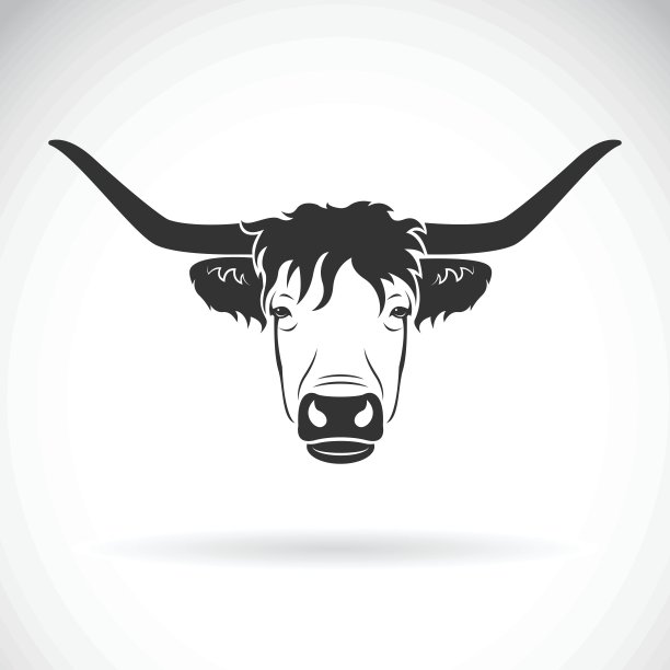 矢量高原牛牛头设计在白色的背景。F图片下载