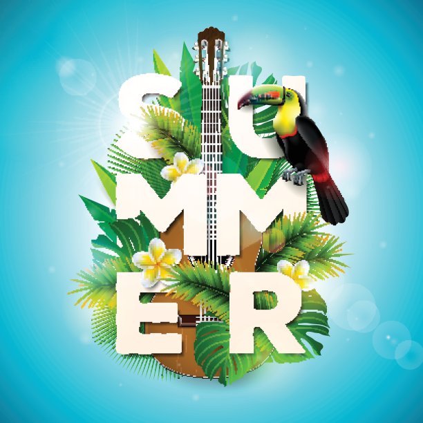 矢量暑假印刷插图与巨嘴鸟，吉他和热带植物的背景花。设计模板与绿色棕榈叶横幅，传单，邀请，小册子，海报或贺卡。图片下载