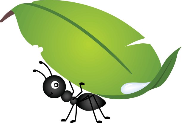 蚂蚁携带叶图片下载