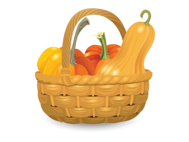 万圣节南瓜。不同形状和大小的橘子葫芦柳条篮子孤立在白色的背景。矢量插图。图片下载