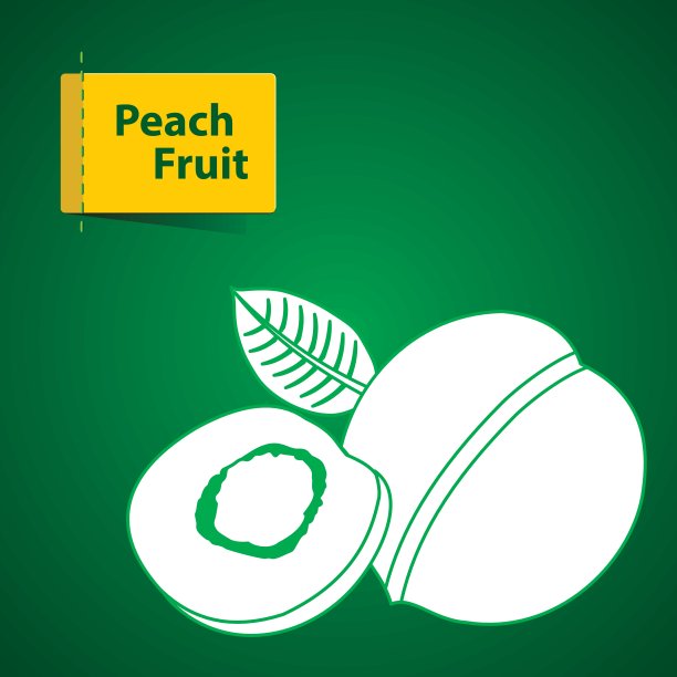 水果插图图片下载