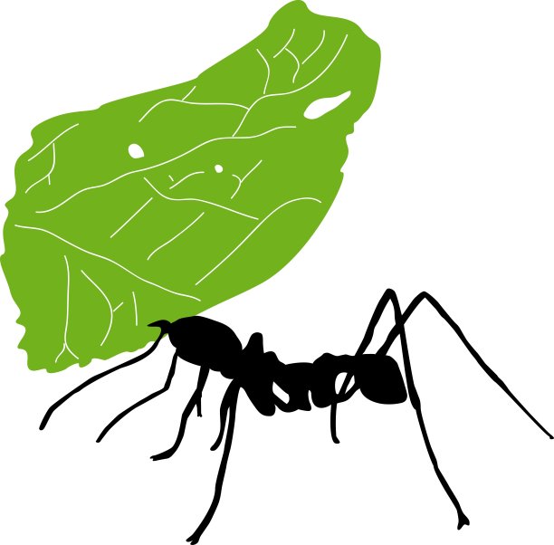 叶刀蚂蚁图片下载