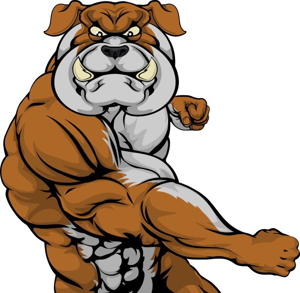 斗牛犬攻击图片下载