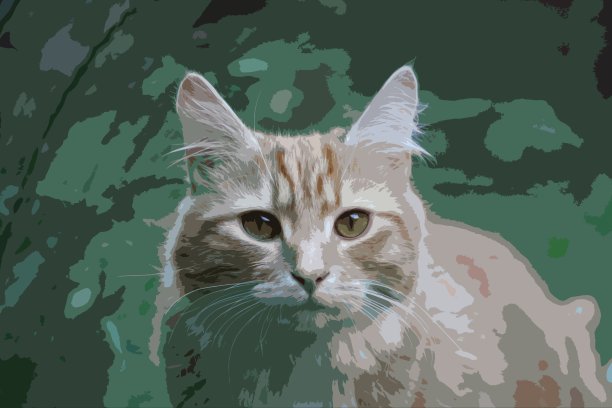 漂亮的姜黄色长毛猫图片下载